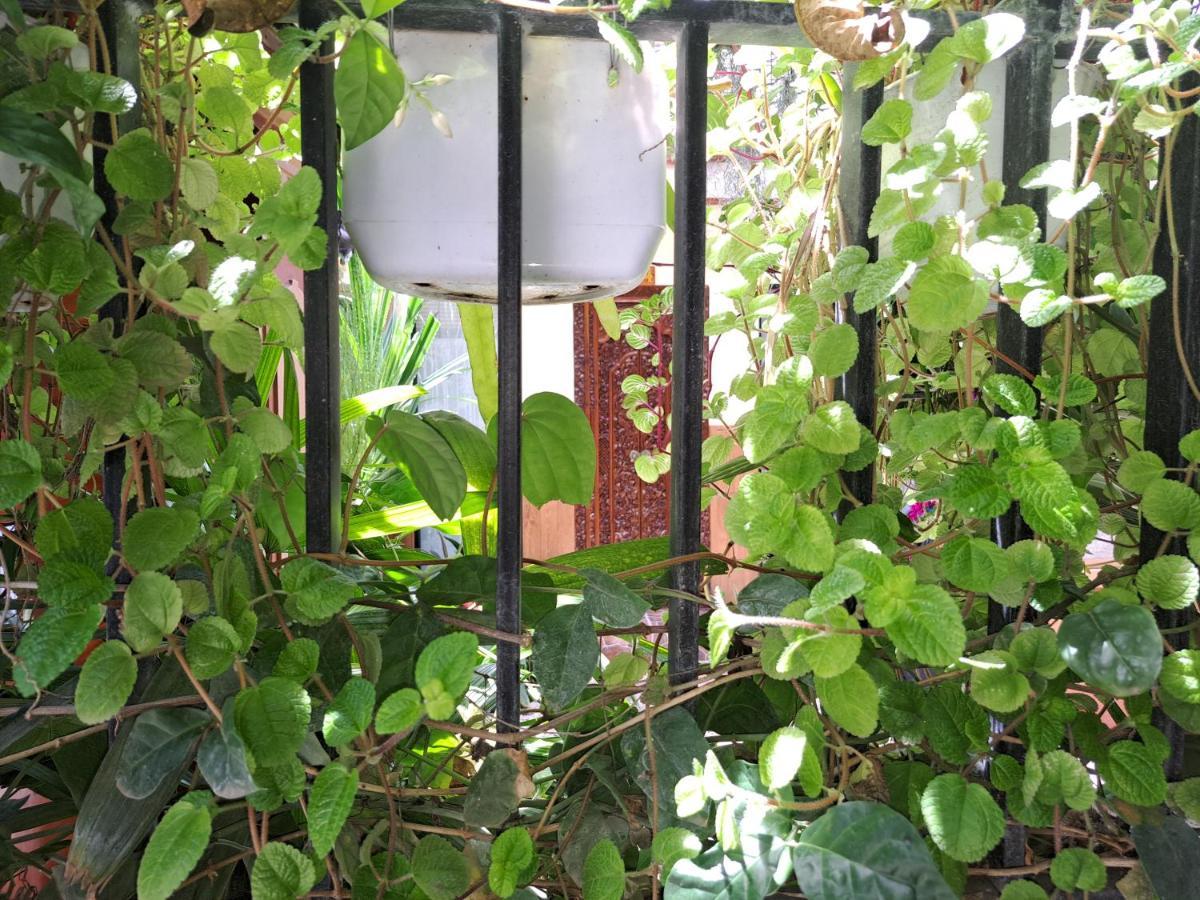 Ascarya Guest House Sanur Esterno foto